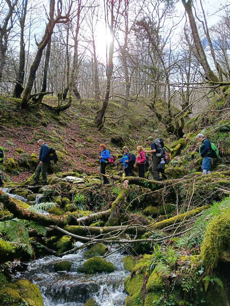 WhatsApp Image 2026-03-08 at 19.34.44 (1)